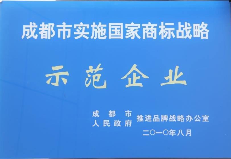 成都市實(shí)施國(guó)家商標(biāo)戰(zhàn)略示范企業(yè).jpg